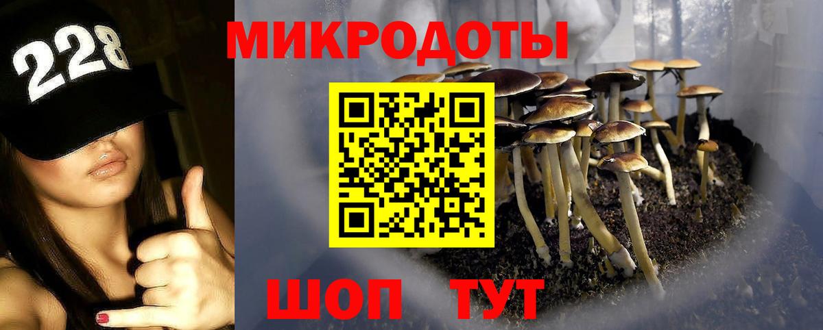 Псилоцибиновые грибы мицелий  Вход с VPN  Астрахань 